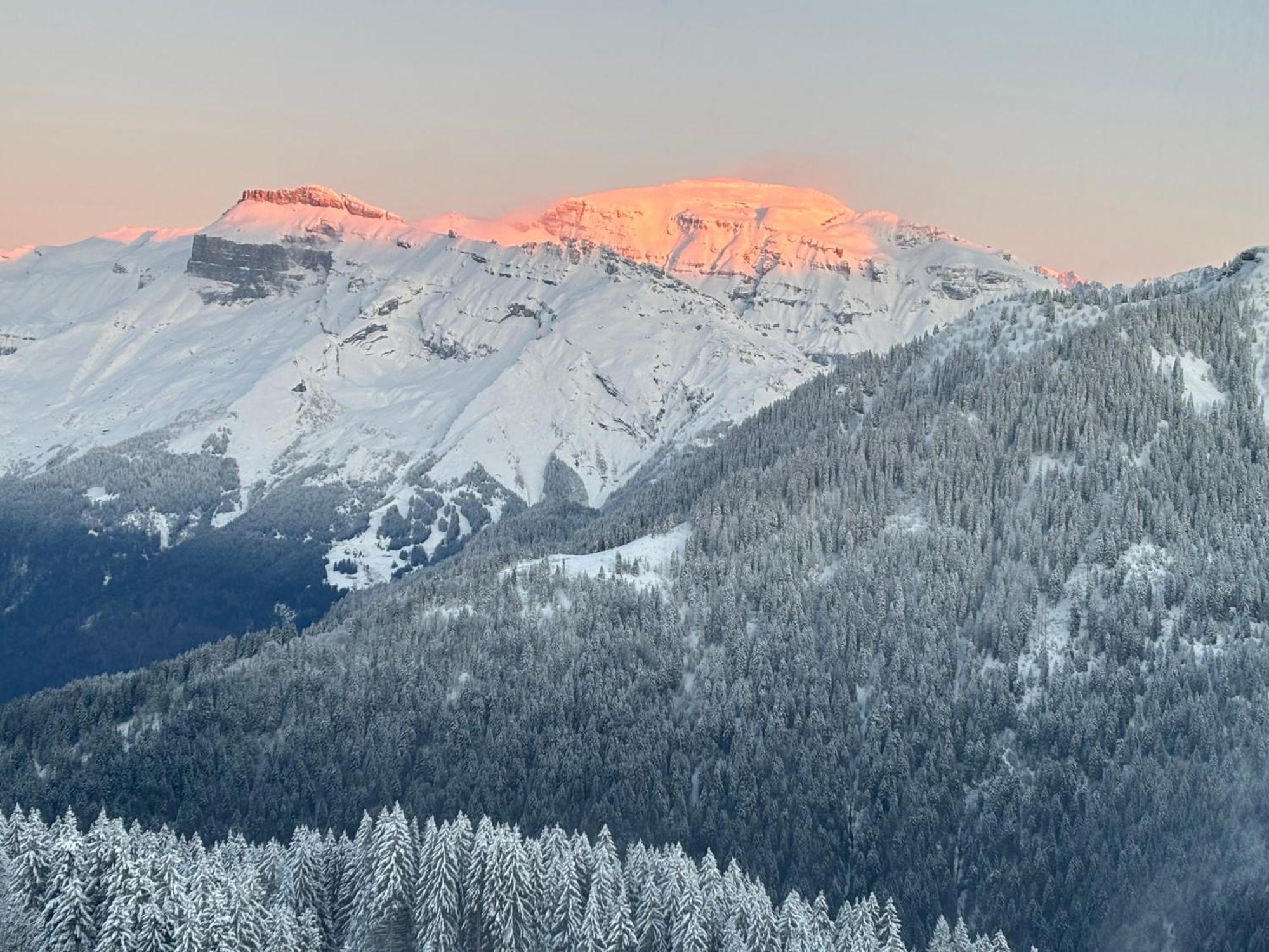 Samoens 1600 Les Cimes Διαμέρισμα Εξωτερικό φωτογραφία